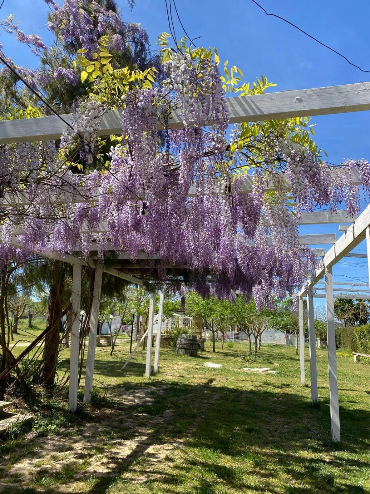 Farm stay Tenuta La Monaca Aradeo